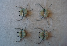 Fotografía de atado de moscas para Permit por Pablo Calvo – Fly dreamers 