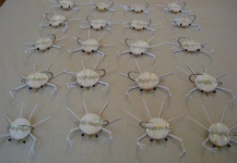  Mira esta imagen de atado de moscas para Permit de Pablo Calvo – Fly dreamers