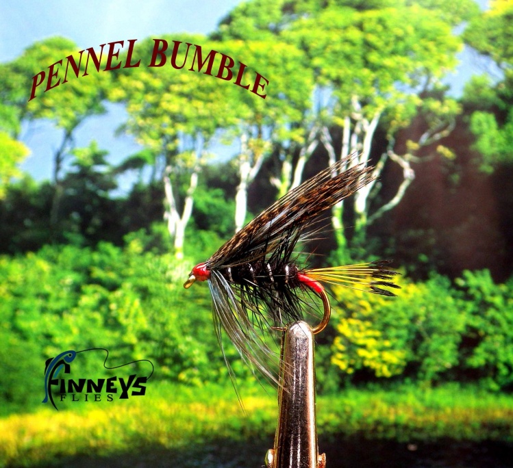 PENNEL BUMBLE