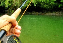 Brycon Moorei Fly-fishing Situation – CARLOS ESTEBAN RESTREPO shared this Photo in Fly dreamers 