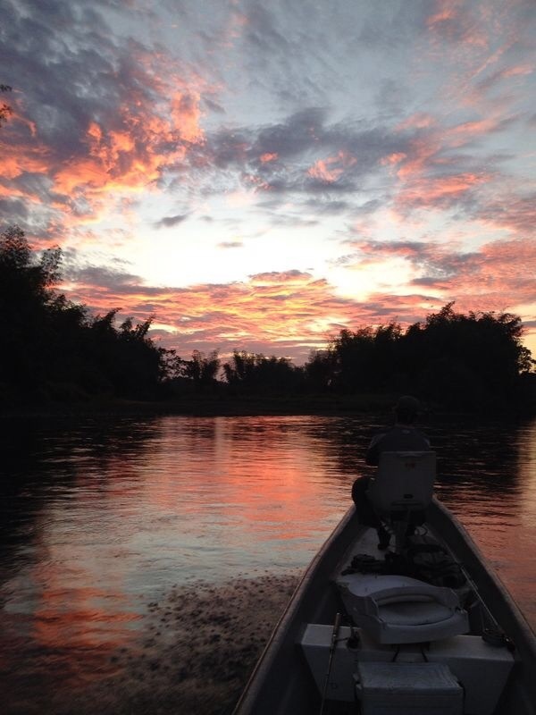 Morning Glory, Rio La Miel, Colombia, at 6AM