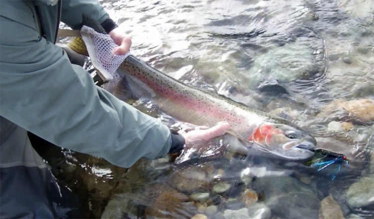 Methow Steel