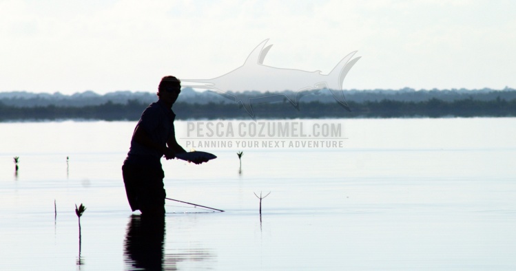 Fly fishing in contrast