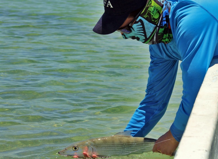 Giving a nice release - Fly Fishing for Bonefish in Cozumel Island