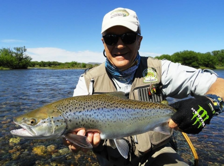 Captura en el rió Limay Medio de una trucha Marrón Plateada en Noviembre 2014 ¡¡¡