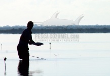  Bonefish – Situación de Pesca con Mosca – Por Alfredo Mimenza