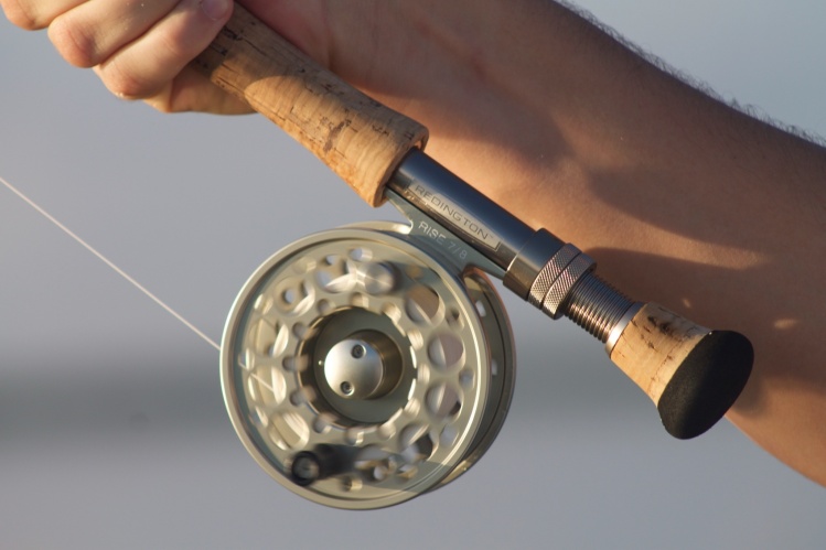 Bonefish spooling the reel! Best sound ever. www.pescacozumel.com