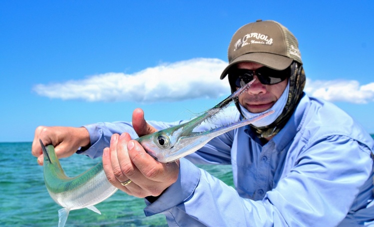 Needlefish on a baitfish pattern. 