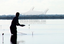 Bonefish Fly-fishing Situation – Alfredo Mimenza shared this () Image in Fly dreamers 