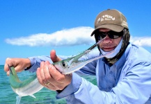 D.R. Brown 's Fly-fishing Picture of a Needlefish – Fly dreamers 