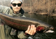 Steelhead on the Muskegon River, Michigan 