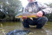  Foto de Pesca con Mosca de Trucha marrón compartida por Andy  Sutherland  – Fly dreamers