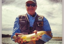 Fly-fishing Picture of Brown trout shared by Hector Tripi – Fly dreamers