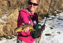Shea Nosack 's Fly-fishing Catch of a Brown trout – Fly dreamers 