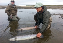  Fotografía de Pesca con Mosca de Sea-Trout (Trucha Marrón Anádroma) por Marcos Hlace – Fly dreamers 