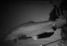  Fotografía de Pesca con Mosca de Sea-Trout (Trucha Marrón Anádroma) por Marcos Hlace – Fly dreamers