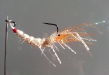  Mira esta fotografía de atado de moscas para Spotted sea trout de Troels KB – Fly dreamers