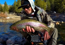 Daniel Macalady 's Fly-fishing Photo of a Rainbow trout – Fly dreamers 