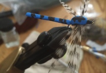 Fly-tying for Brook trout - Photo shared by Terry Landry – Fly dreamers 