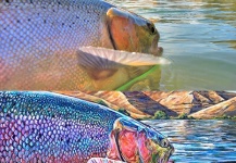 Sweet Fly-fishing Art Picture shared by Fishbite Media – Fly dreamers