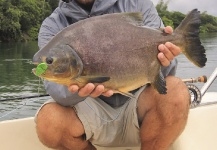 Fabian Anastasio 's Fly-fishing Pic of a Pacu – Fly dreamers 
