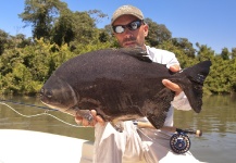 Fly-fishing Image of Pacu shared by Fabian Anastasio – Fly dreamers