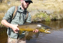 Jeremy Treweek 's Fly-fishing Image of a Brown trout – Fly dreamers 