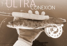 ULTRA CONEXION