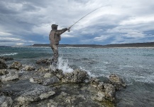 Cool Fly-fishing Situation of Rainbow trout - Picture shared by Pepe Mélega – Fly dreamers