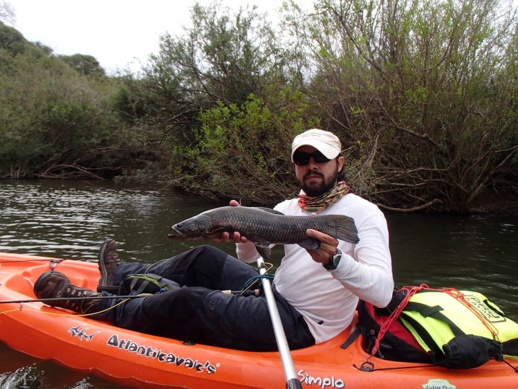 Esta Tornasol fue capturada con una Cuba Andino blanca de lomo verde musgo y brillos dorados.