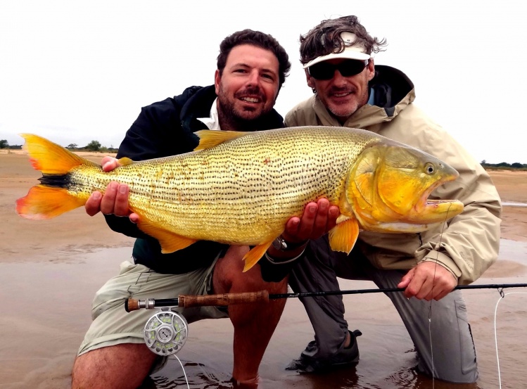 Golden dorado from Rio Parana with Golden Fly Fishing....great trip!!