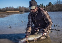 Black Fly Eyes Flyfishing 's Fly-fishing Pic of a Pike – Fly dreamers 