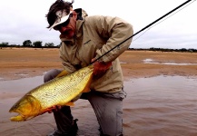 John Kelly 's Fly-fishing Pic of a Golden Dorado – Fly dreamers 