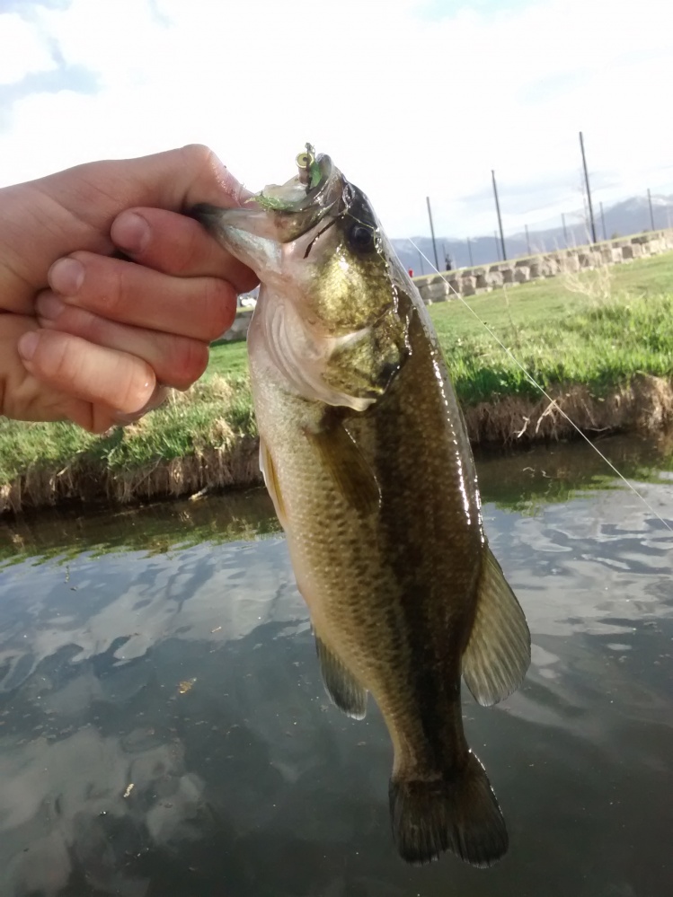 Good bass from Saturday