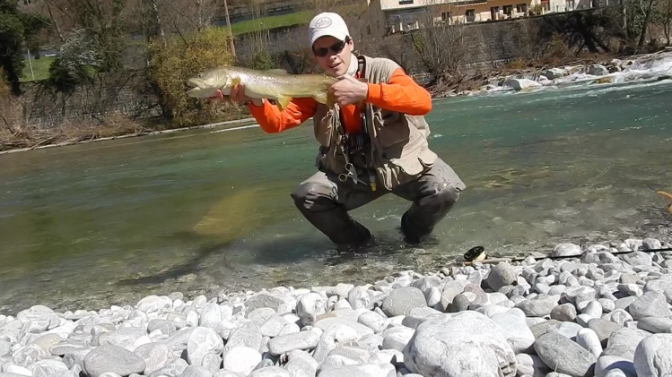 Marble trout on the dolomites...