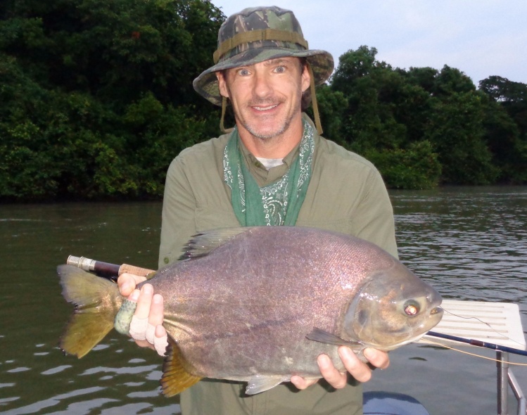 Pacu on 5wt. with Golden Fly Fishing on Rio Parana,,,what a tough fish!