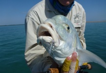 Fly-fishing Image of Golden Trevally shared by Richard Carter – Fly dreamers