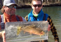 Fly-fishing Photo of Cutthroat shared by Derek  Young – Fly dreamers 