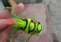 Ryan Breault 's Fly for Largemouth Bass - – Fly dreamers 