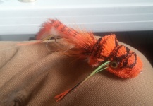 Ryan Breault 's Fly-tying for Pike - Picture – Fly dreamers 