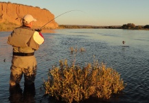 Fly-fishing Photo of Rainbow trout shared by Hector Tripi – Fly dreamers 