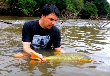 Fly-fishing Pic of Golden Dorado shared by Pablo Nicolás Chapero – Fly dreamers 