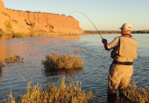 Fly-fishing Pic of Rainbow trout shared by Hector Tripi – Fly dreamers 