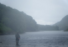 Salmon on the River Ewe, Scotland