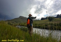 Brown trout Fly-fishing Situation – Andrew Fowler shared this Good Image in Fly dreamers 