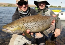 Gaston Ambrosino 's Fly-fishing Image of a Brown trout – Fly dreamers 