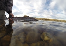  Situación de Pesca con Mosca de Sea-Trout (Trucha Marrón Anádroma) – Fotografía por Julian Lopez en Fly dreamers