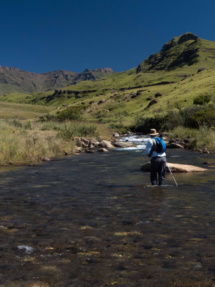 Streams and small lakes, KZN Midlands, South Africa