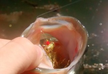 Largemouth bass closeup photo by Luke Alder - Fly dreamers