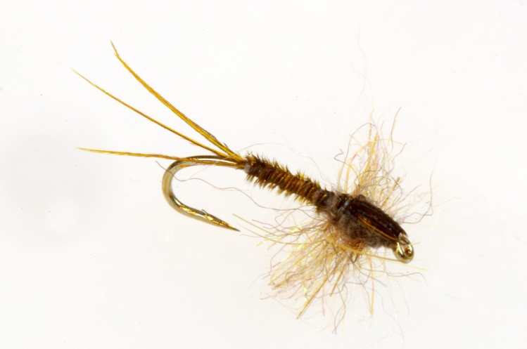 Right Pheasanttail -- hackles are fuzz of any kind loosely basted on bottom--and then glued in place. Works for dry flies too